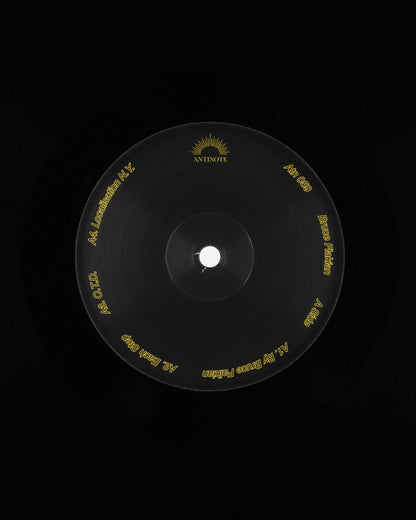 Vinyls Curated by Public Possession Bruce Glakian - Bruce Flakian Lp Eulp Music Vinyls ATN059 001