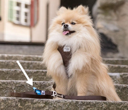 Curli Stretch Comfort Leash