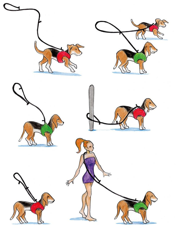 Curli Stretch Comfort Leash