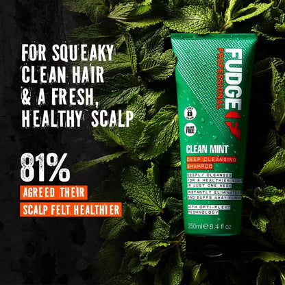 Fudge Professional Clean Mint Deep Cleansing Shampoo