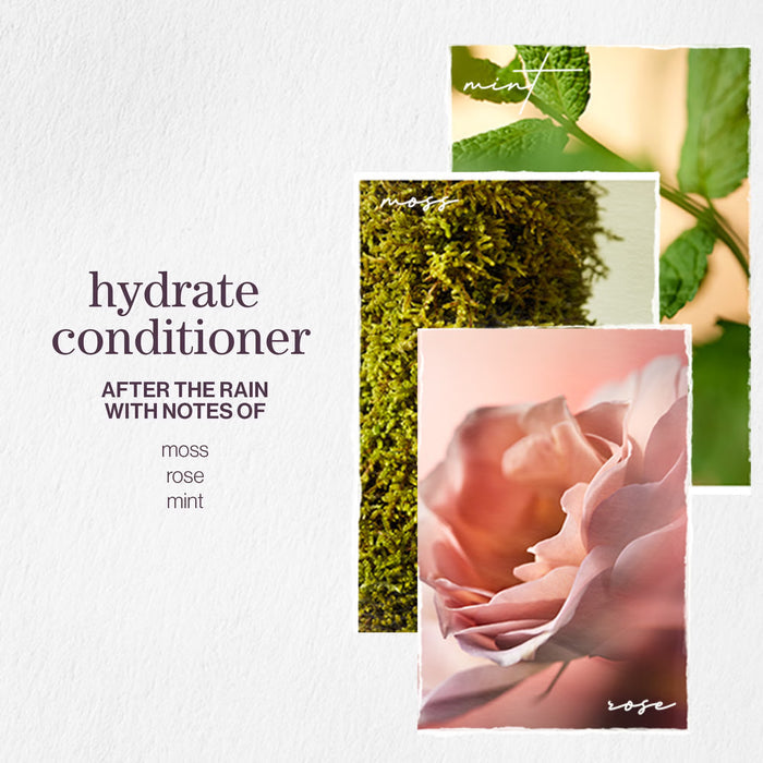 Pureology Hydrate Conditioner