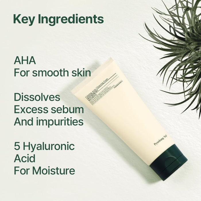 Pyunkang Yul Calming Acne Cleansing Foam 100ml