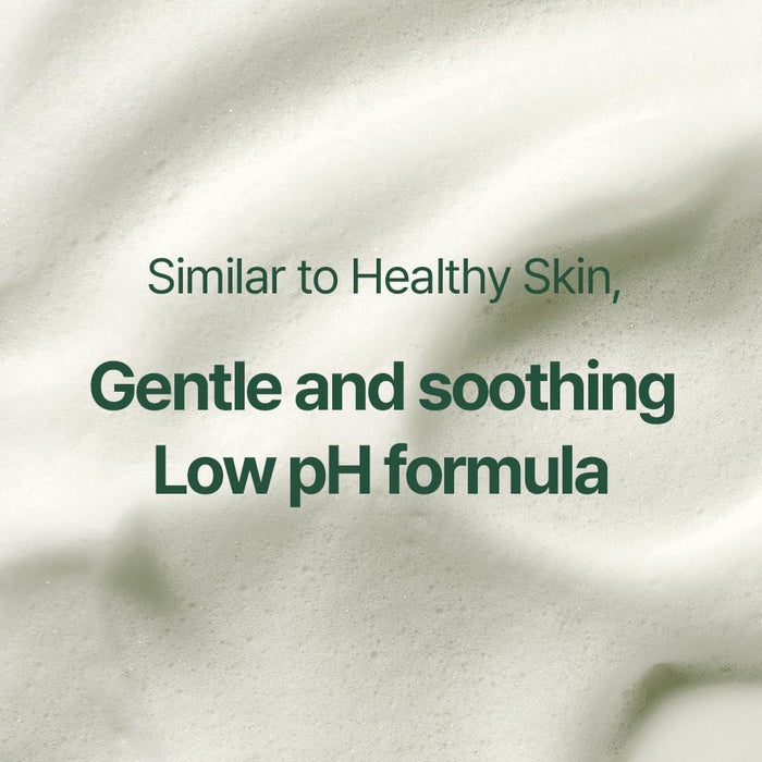 Pyunkang Yul Calming Acne Cleansing Foam 100ml